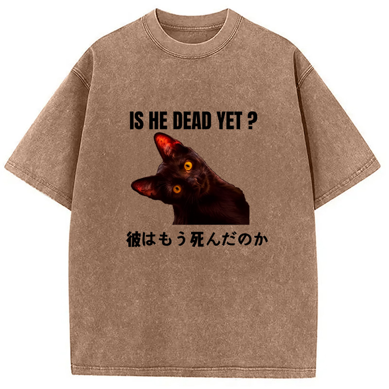 Modecanvas Is He Dead Yet Washed T-Shirt