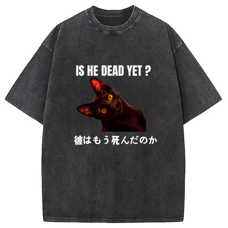 Modecanvas Is He Dead Yet Washed T-Shirt
