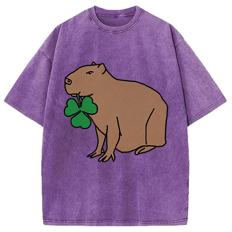 Modecanvas Cute Capybara with Shamrock DTG Printing Washed T-Shirt