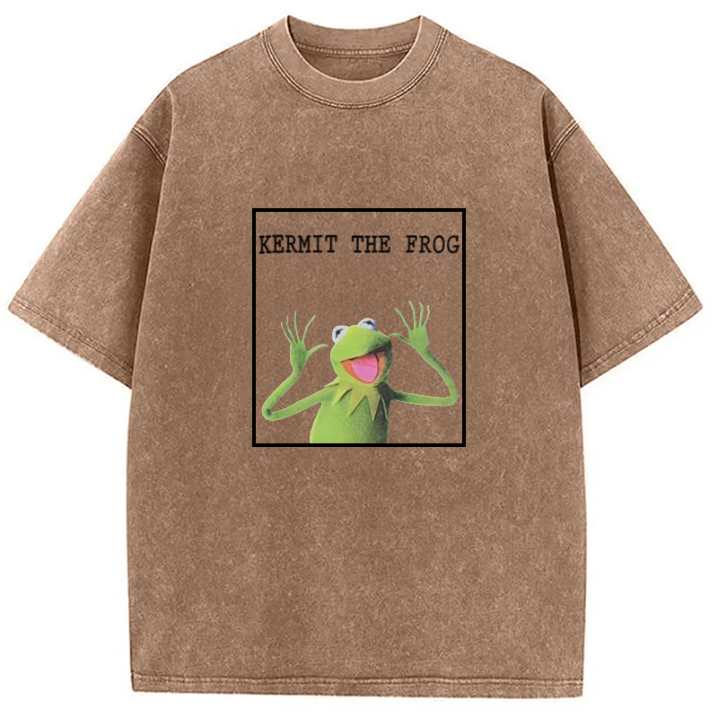 Modecanvas The Frog Meme Washed T-Shirt