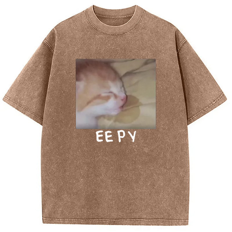 Modecanvas Eepy Kitty Meme Washed T-Shirt