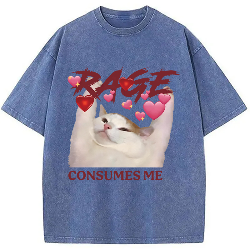 Modecanvas Rage Consumes Me Funny Cat Meme DTG Printing Washed T-Shirt