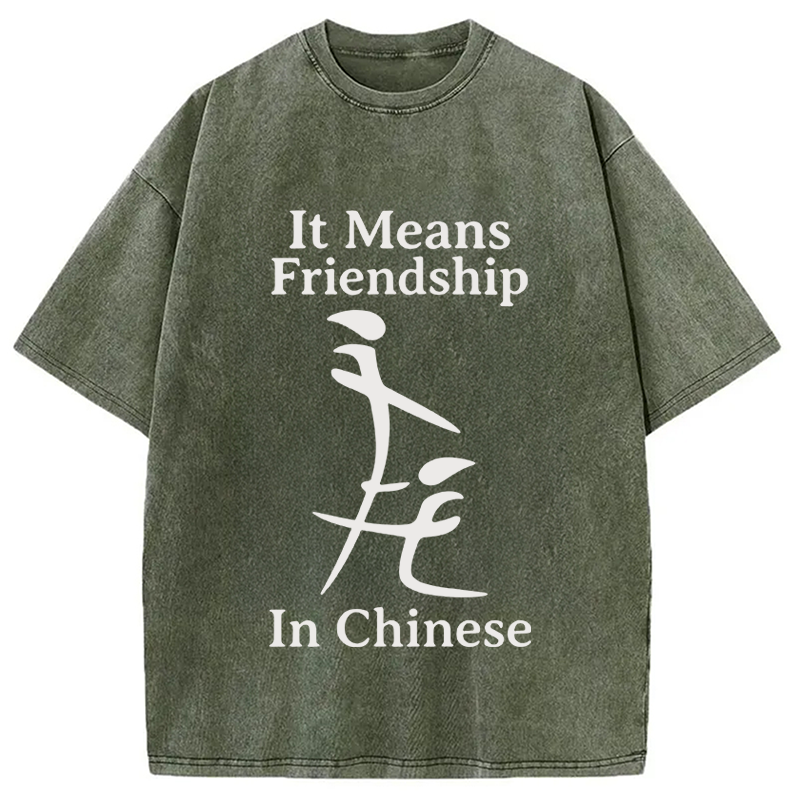 Modecanvas Funny Inappropriate Meme DTG Printing Washed T-Shirt