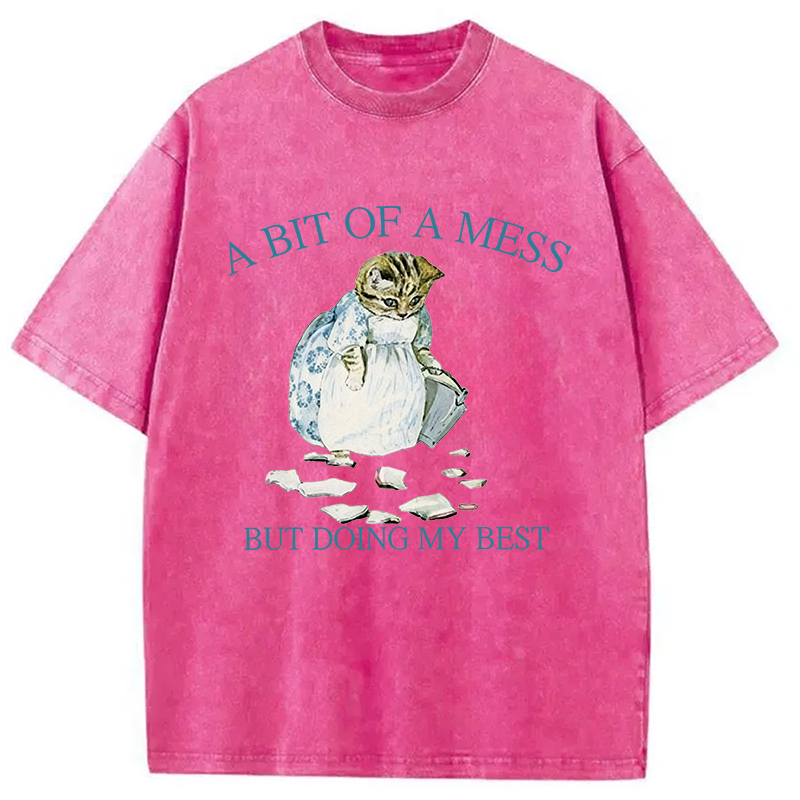 Modecanvas A Bit Of Mess But Doing My Best Cat DTG Printing Washed T-Shirt