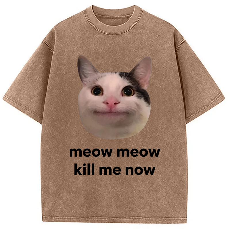 Modecanvas Meow Meow Kill Me Now Polite Cat Meme DTG Printing Washed T-Shirt
