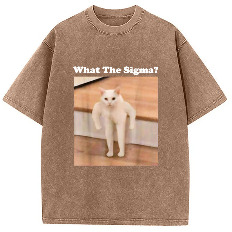 Modecanvas What Sigma Cat Meme Washed T-Shirt