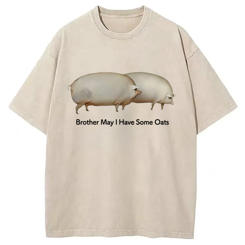 Modecanvas Brother May l Have Some Oats Meme Washed T-Shirt