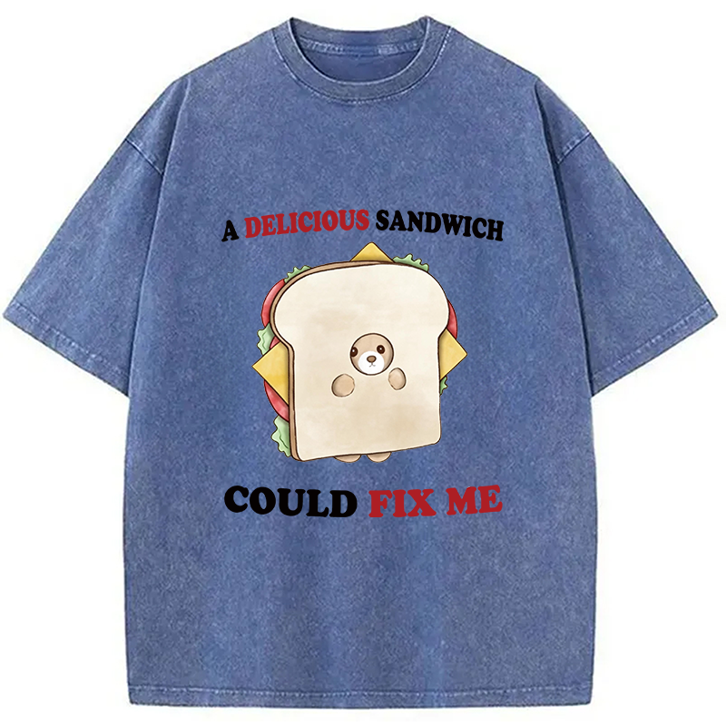 Modecanvas Delicious Sandwich Could Fix Me DTG Printing Washed T-Shirt