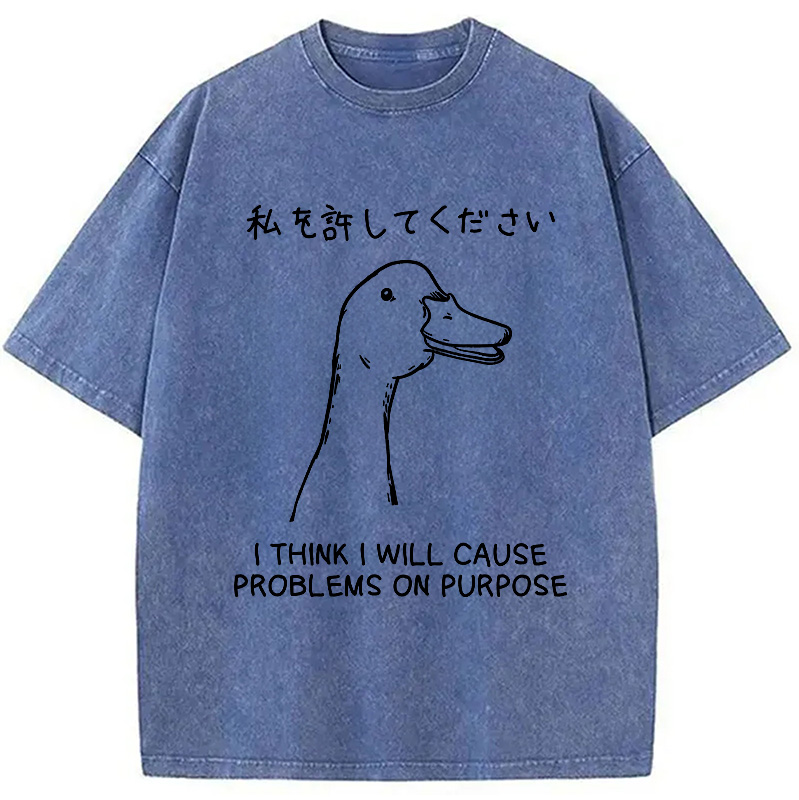 Modecanvas Stupid Goose Funny Japan Washed T-Shirt