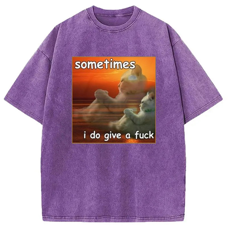 Modecanvas Sometimes I Do Give A Fxck Meme Washed T-Shirt