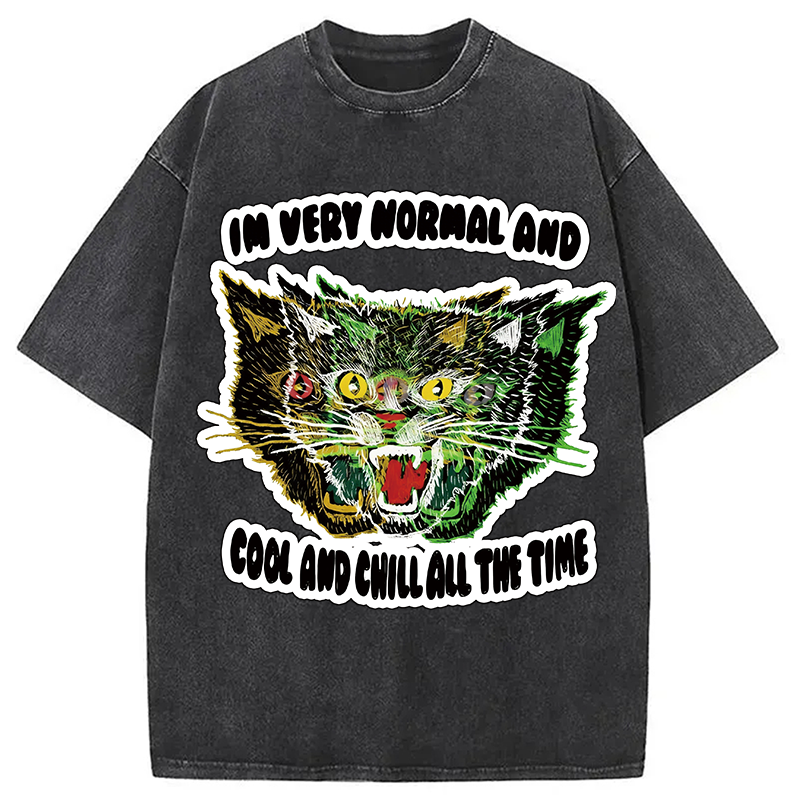 Modecanvas Normal And Chill Cat DTG Printing Washed T-Shirt
