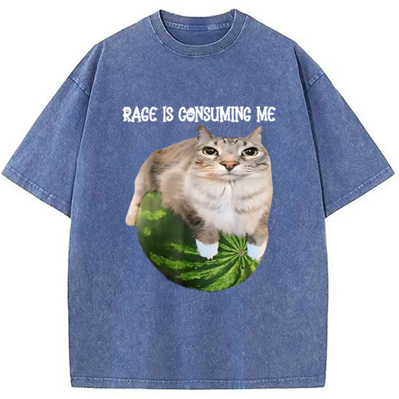 Modecanvas Rage Is Consuming Me Cat Meme Washed T-Shirt-modecanvas