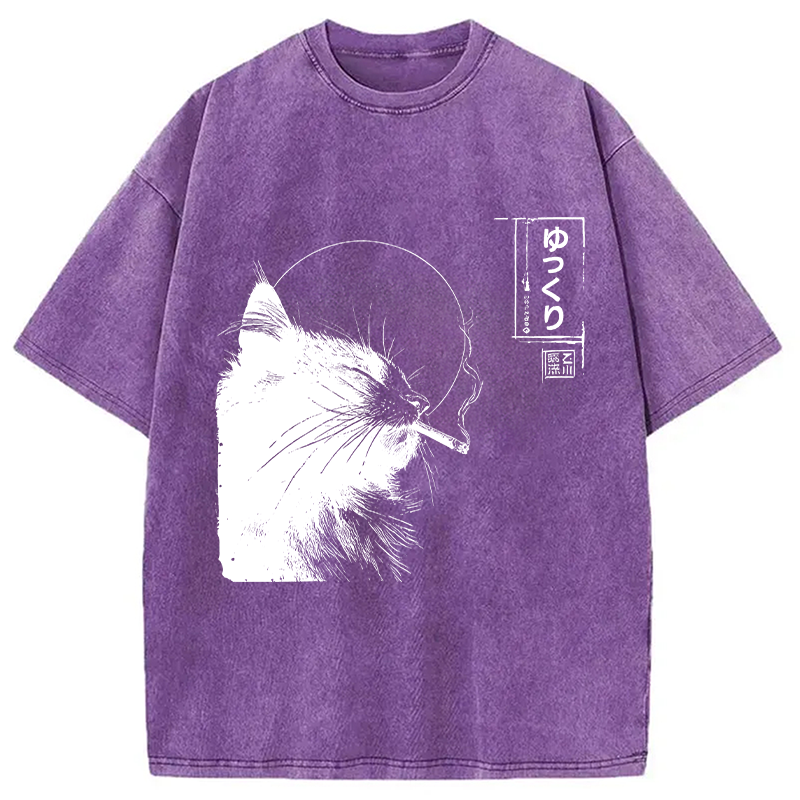 Modecanvas Stay Chill Smoking Cat DTG Printing Washed T-Shirt-modecanvas