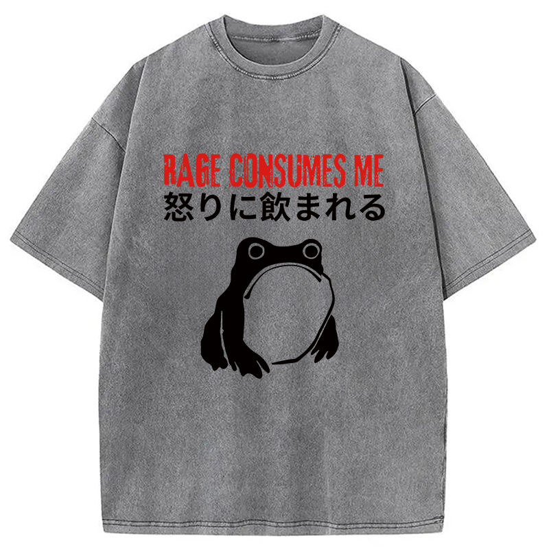 Modecanvas Rage Consumes Me Frog Meme DTG Printing Washed T-Shirt