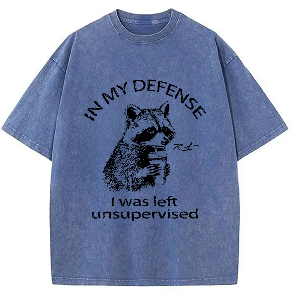 Modecanvas Left Unsupervised Raccoon Washed T-Shirt