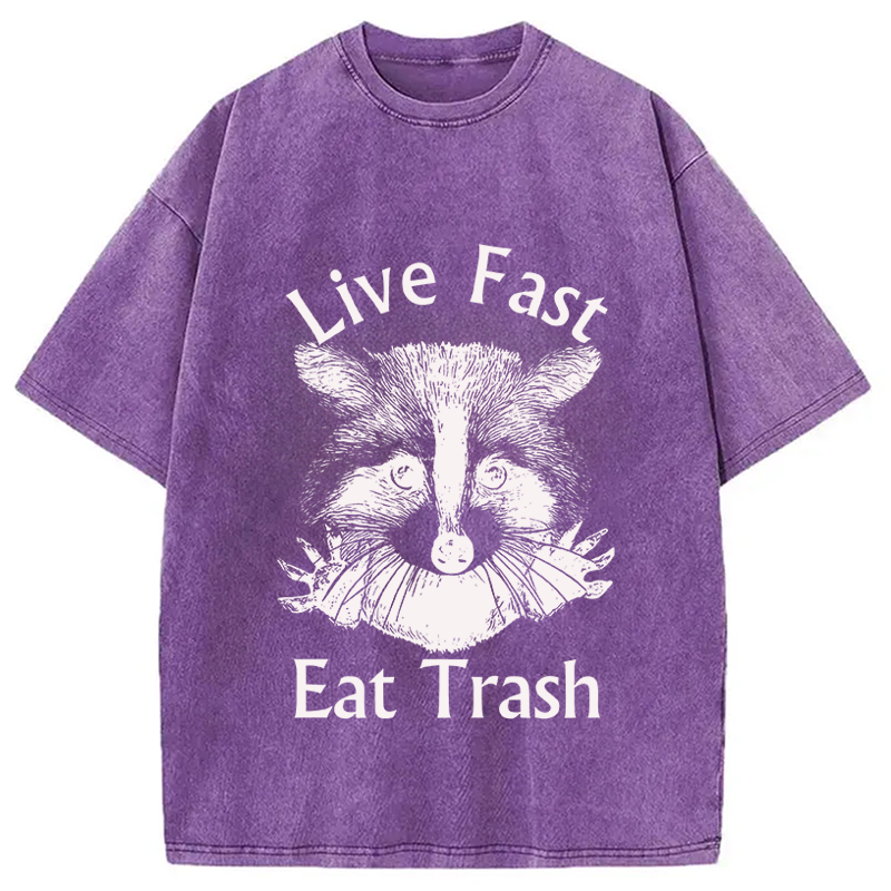 Modecanvas Trash Panda Raccoon DTG Printing Washed T-Shirt