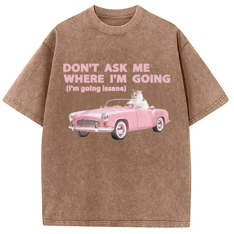 Modecanvas Im Going Insane Cat Meme DTG Printing Washed T-Shirt