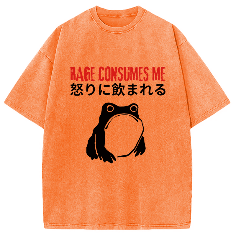 Modecanvas Rage Consumes Me Frog Meme DTG Printing Washed T-Shirt