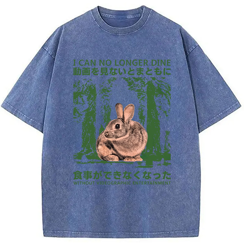 Modecanvas Vintage Japanese Horror Bunny DTG Printing Washed T-Shirt