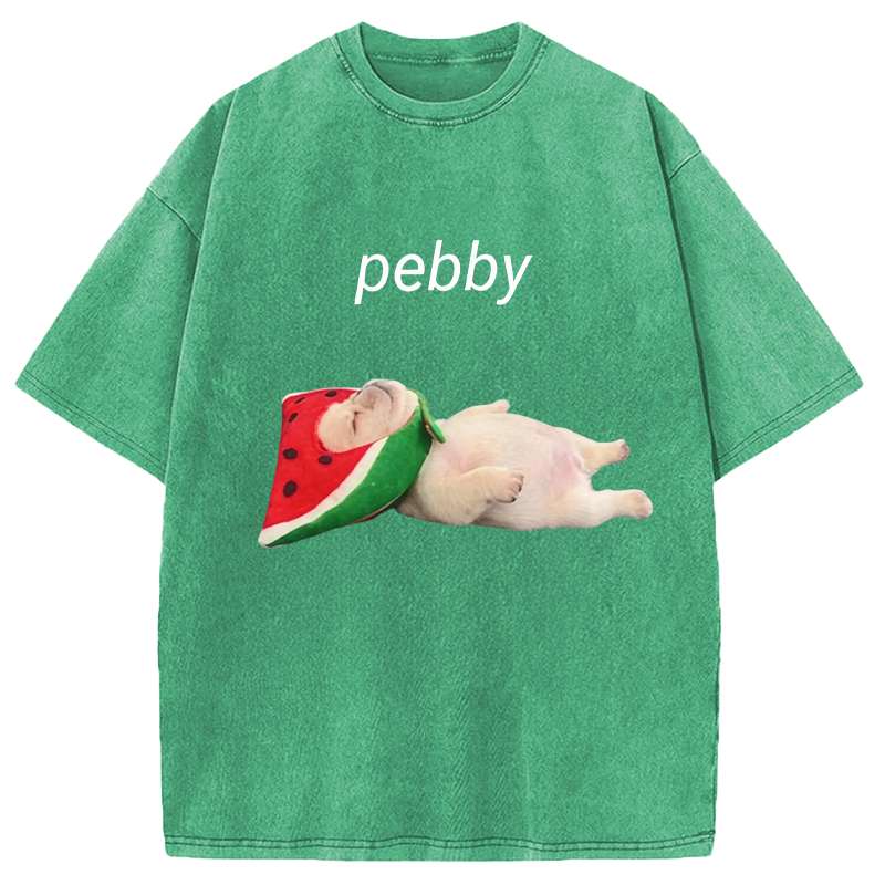 Modecanvas Funny Pibble Dog Meme DTG Printing Washed T-Shirt