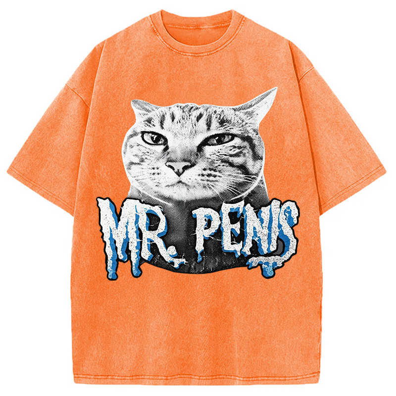 Modecanvas Mr Pen is Cat DTG Printing Washed T-Shirt