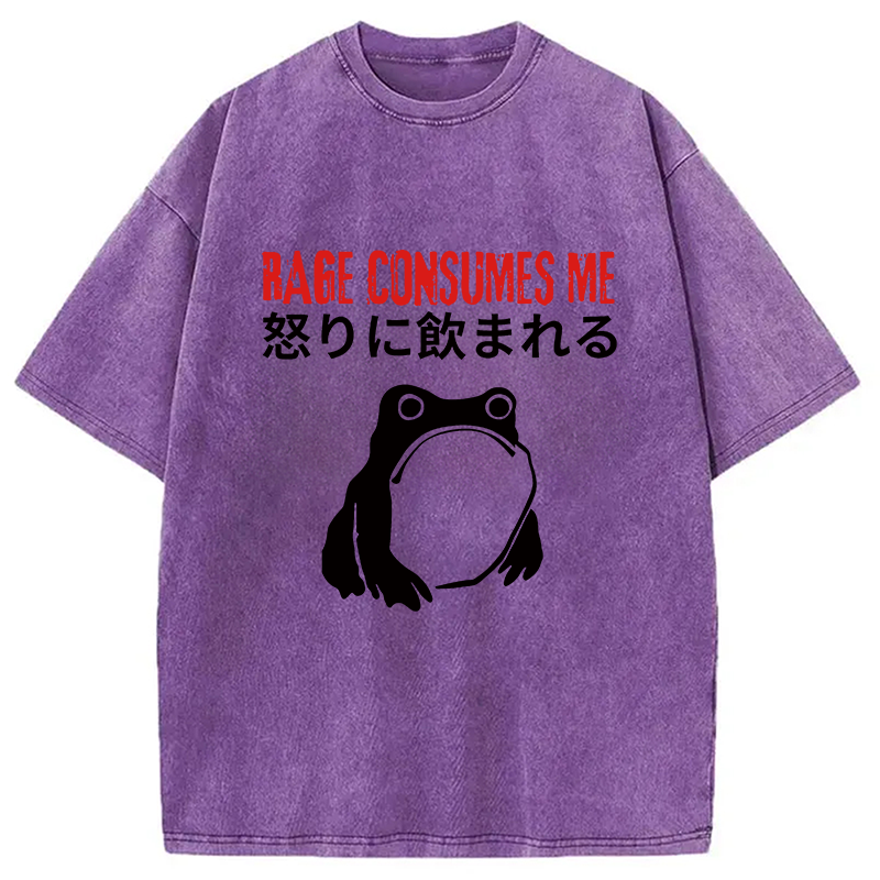 Modecanvas Rage Consumes Me Frog Meme DTG Printing Washed T-Shirt