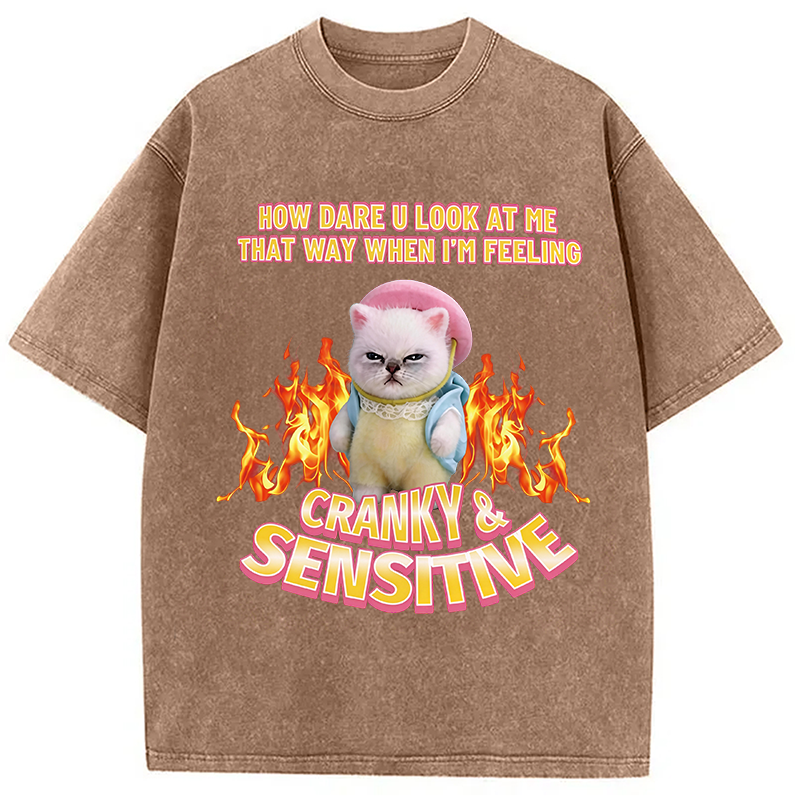 Modecanvas Cranky Kitty DTG Printing Washed T-Shirt