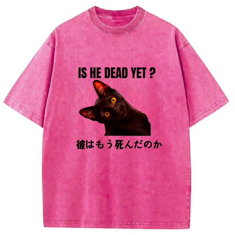 Modecanvas Is He Dead Yet Washed T-Shirt