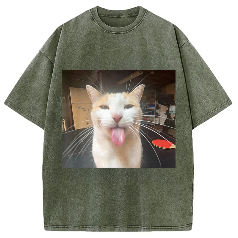 Modecanvas Silly Bleh Funny Cat Meme DTG Printing Washed T-Shirt