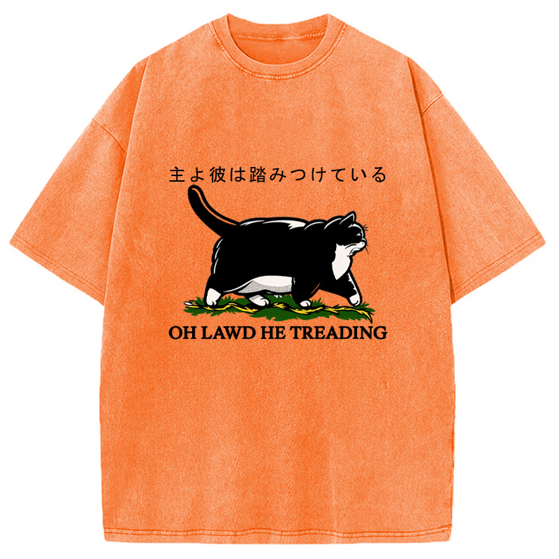 Modecanvas Oh Lawd He Treading Tuxedo Cat Washed T-Shirt