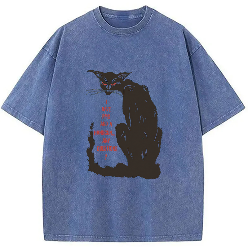 Modecanvas I Have PMS And A Handgun Any Questions? DTG Printing Washed T-Shirt