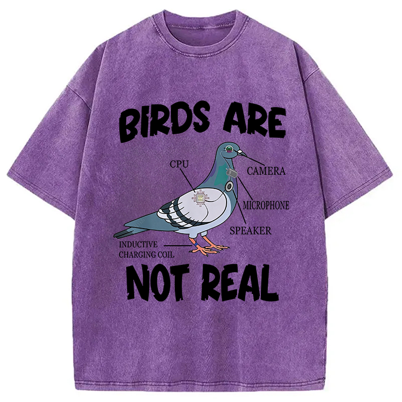 Modecanvas Pigeon Birds Are Not Real Funny DTG Printing Washed T-Shirt
