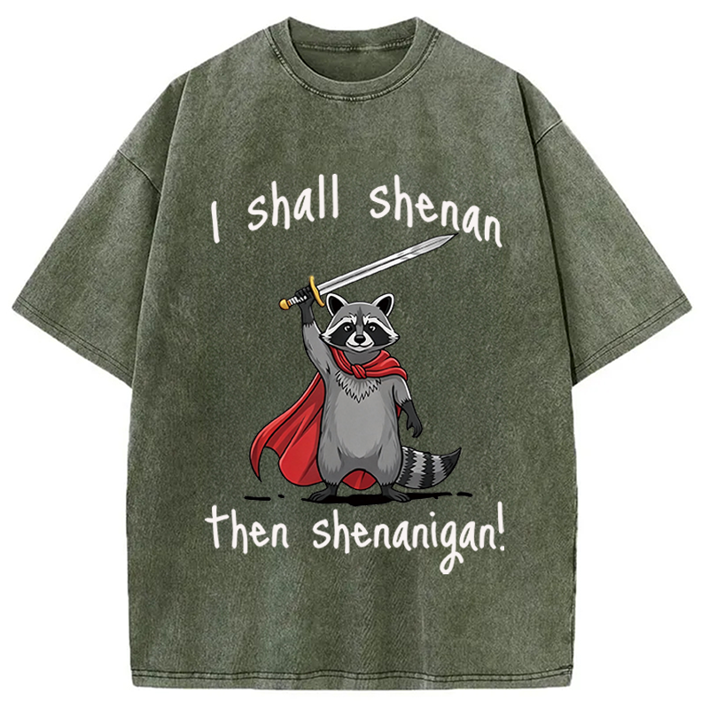 Modecanvas I Shall Shenan Cute Raccoon Meme DTG Printing Washed T-Shirt