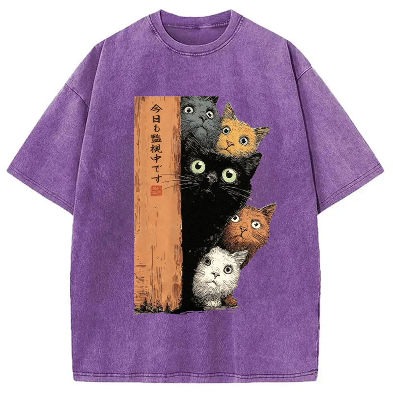 Modecanvas Cats Are Watching You Washed T-Shirt