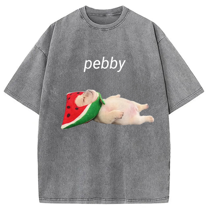 Modecanvas Funny Pibble Dog Meme DTG Printing Washed T-Shirt