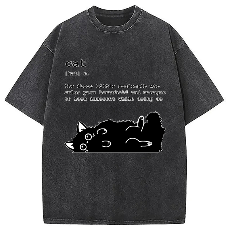 Modecanvas Definition Of Cat Funny Washed T-Shirt