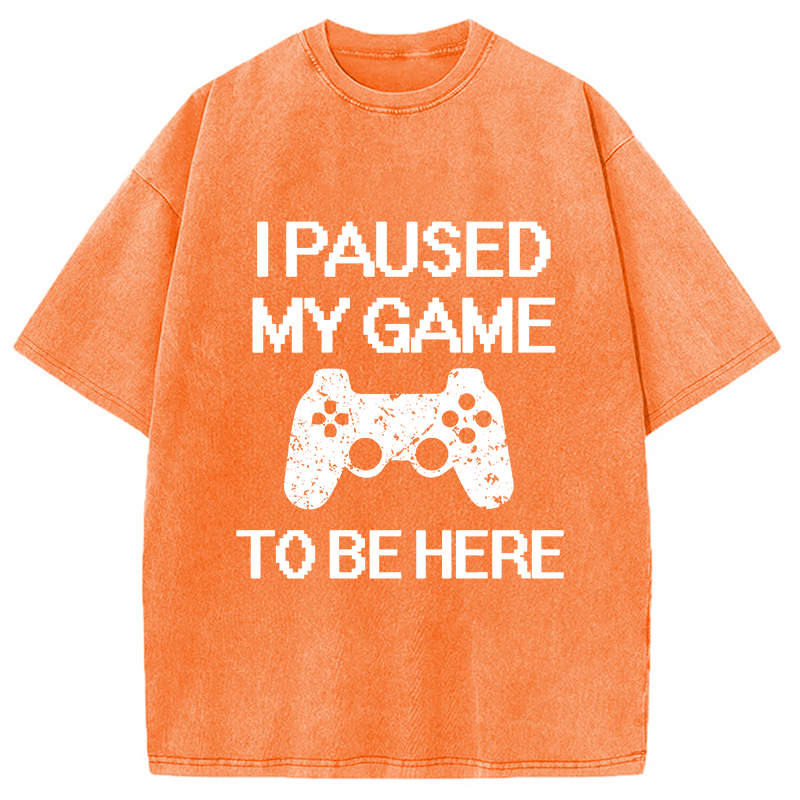 Modecanvas I Paused My Game To Be Here DTG Printing Washed T-Shirt
