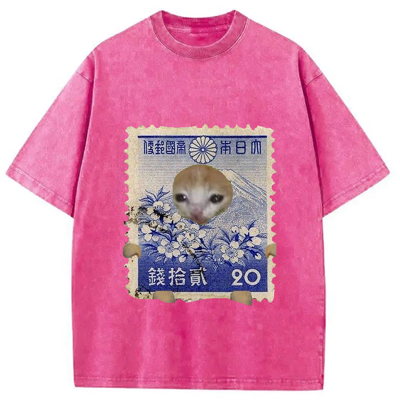 Modecanvas Ukiyo-e Cat Meme Washed T-Shirt
