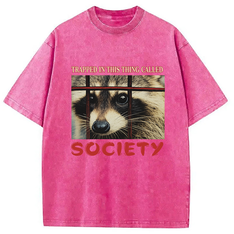 Modecanvas Society Raccoon Washed T-Shirt