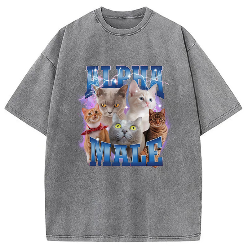 Modecanvas Blue Lightning Alpha Male Washed T-Shirt-modecanvas