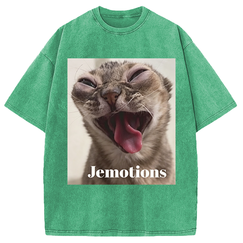 Modecanvas Jemotions Cat Meme DTG Printing Washed T-Shirt