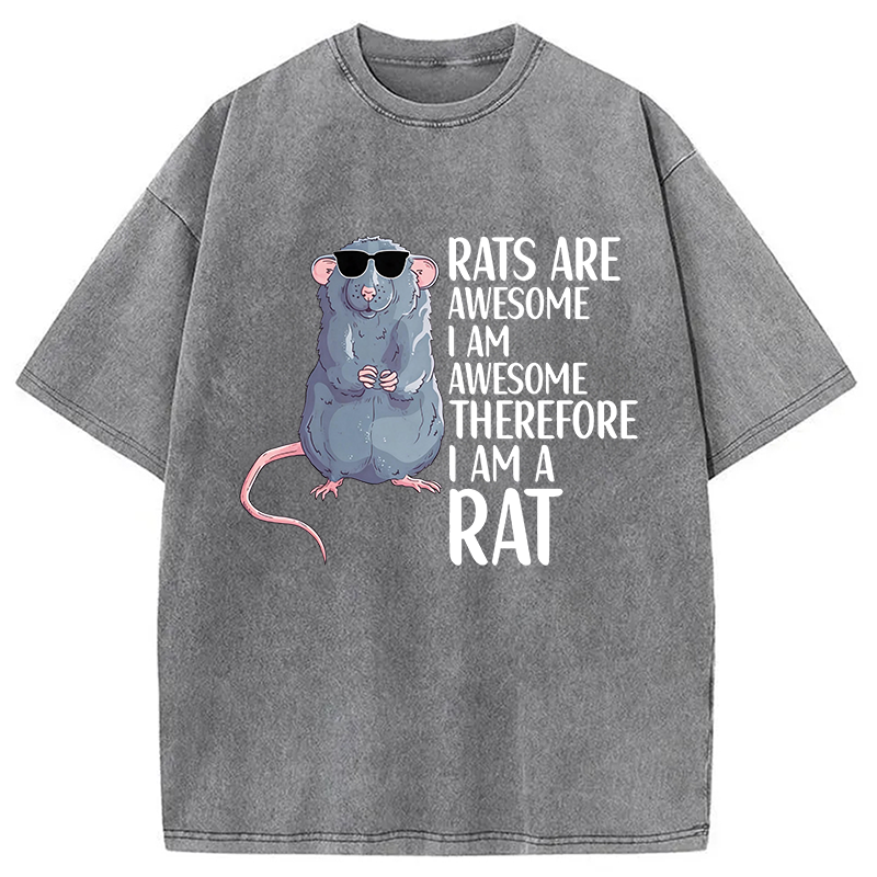 Modecanvas Rats Are Awesome Funny Rat DTG Printing Washed T-Shirt