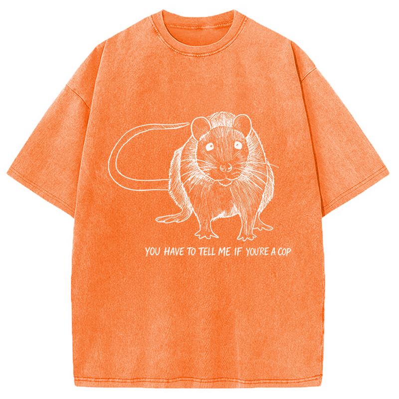 Modecanvas You Have To Tell Me If You Are A Cop Funny Rat Meme DTG Printing Washed T-Shirt