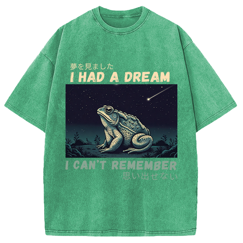 Modecanvas I Had A Dream Toad DTG Printing Washed T-Shirt