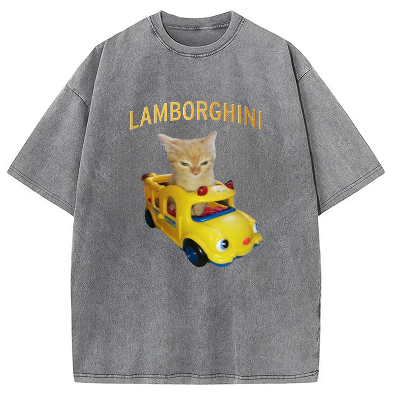 Modecanvas Car Cat Funny Meme Washed T-Shirt