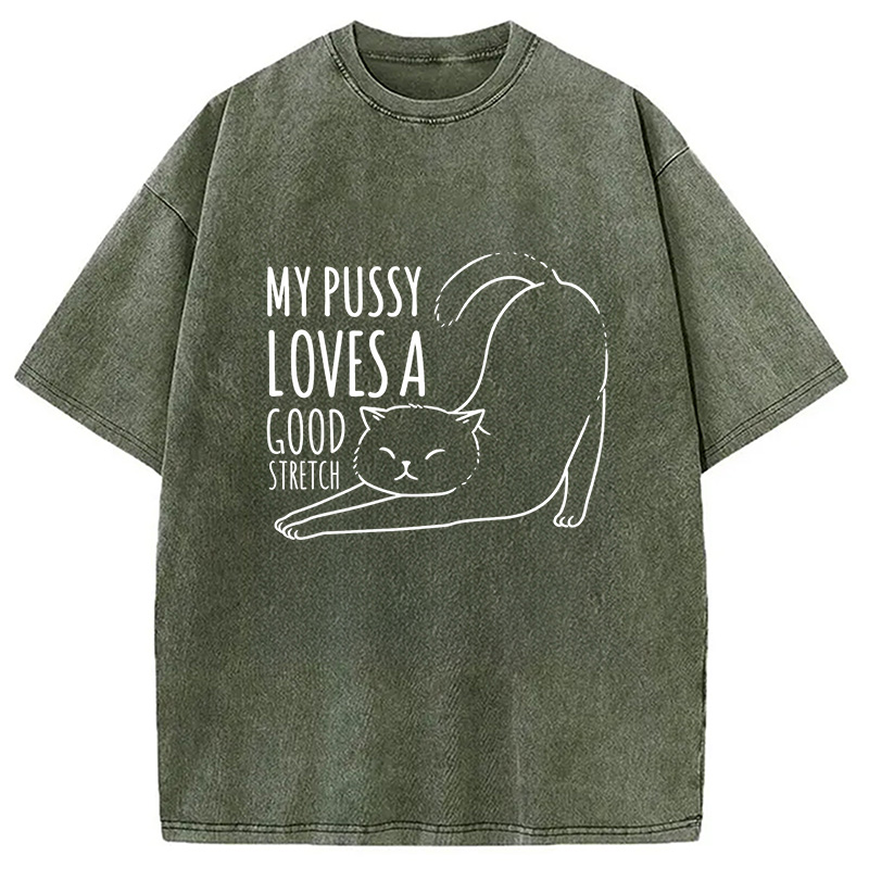 Modecanvas Funny Cat Washed T-Shirt