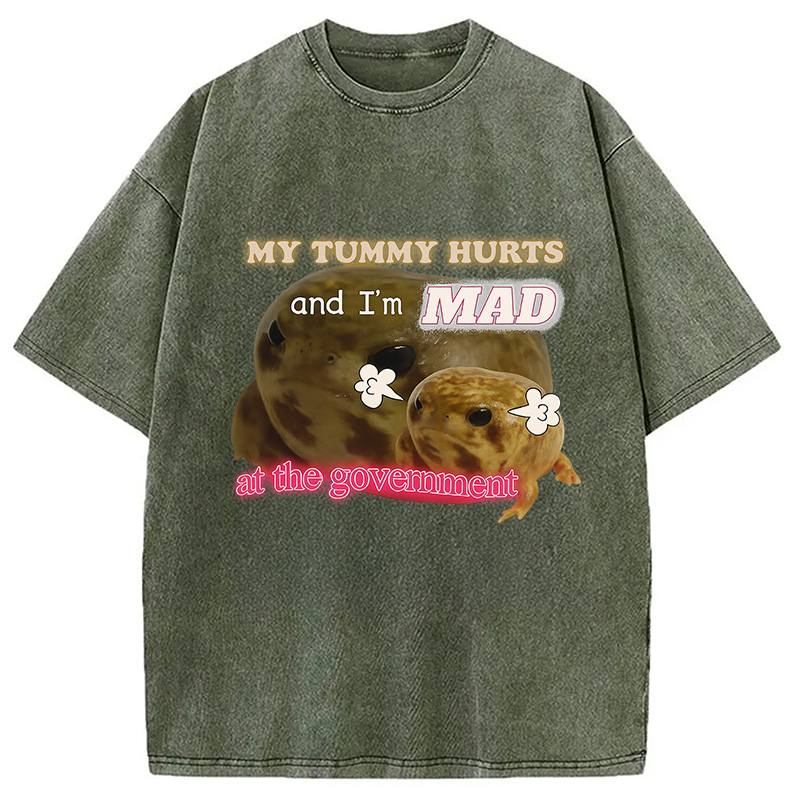 Modecanvas My Tummy Hurts Funny Frog Meme Washed T-Shirt