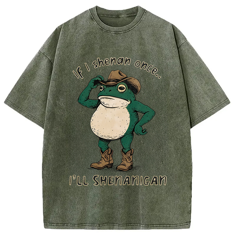 Modecanvas If I Shenan Once Funny Frog DTG Printing Washed T-Shirt