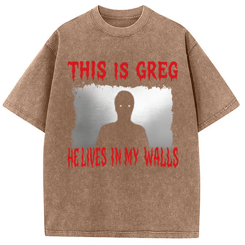 Modecanvas This Is Greg Funny Schizo Meme DTG Printing Washed T-Shirt-modecanvas