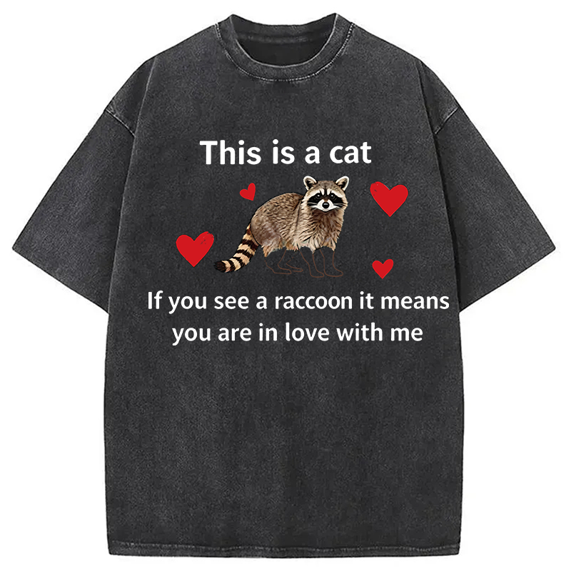 Modecanvas If You See A Raccoon DTG Printing Washed T-Shirt